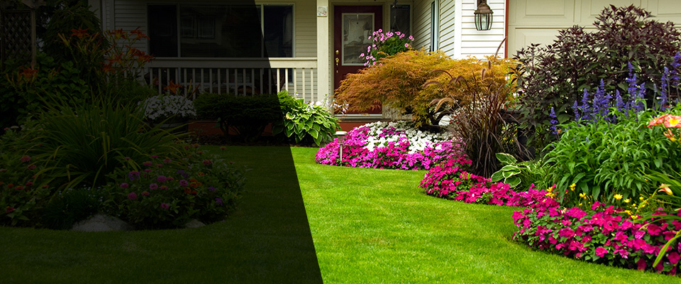 Studio City Landscapers