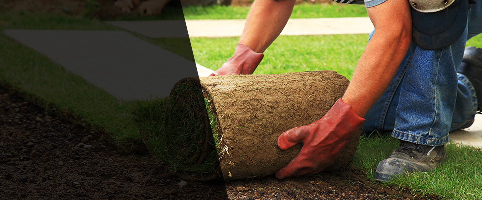Studio City Landscapers